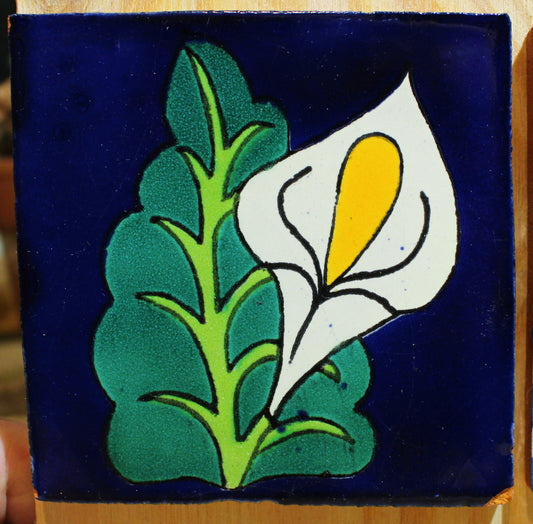 Blomma
