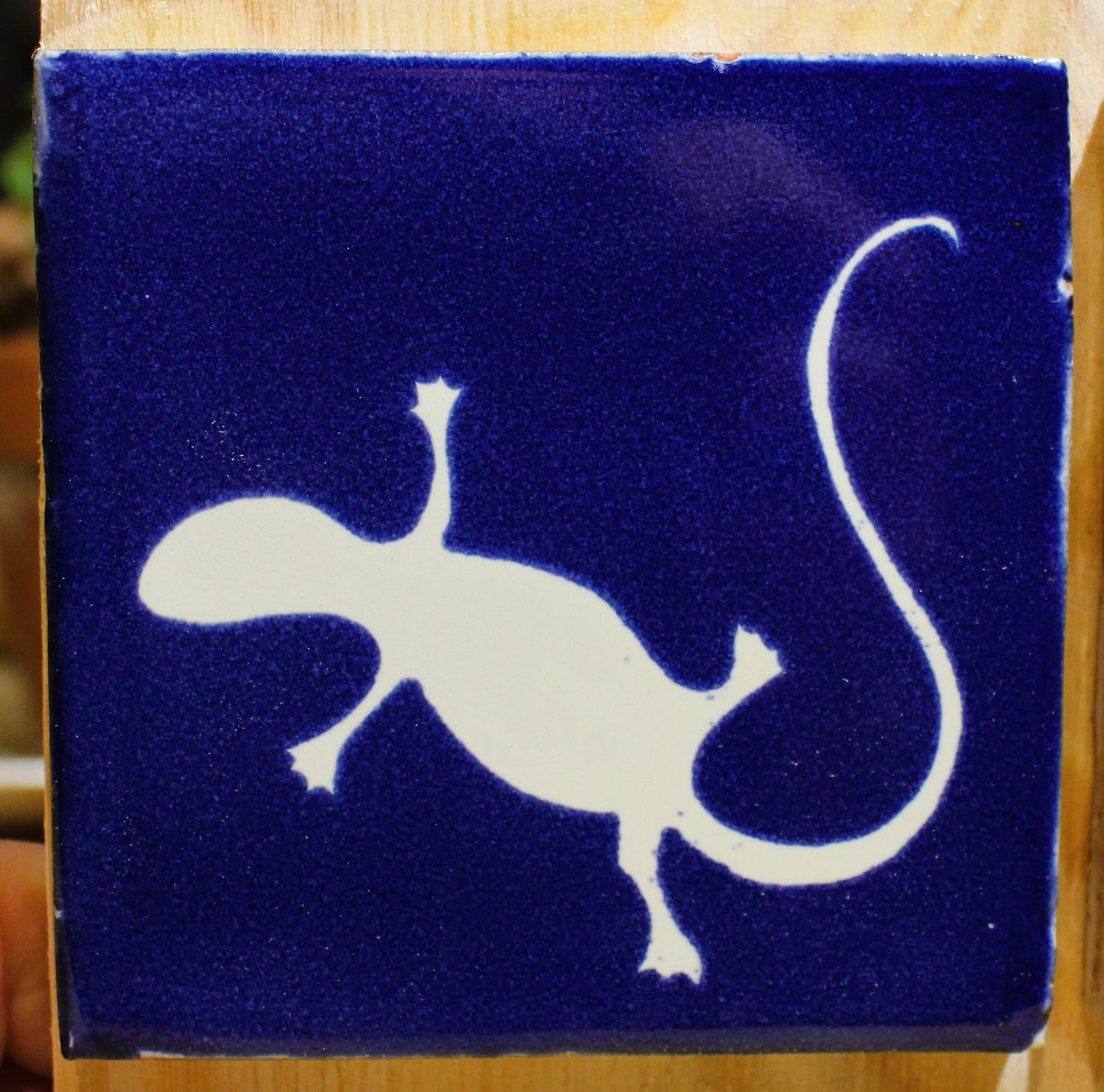 Gecko