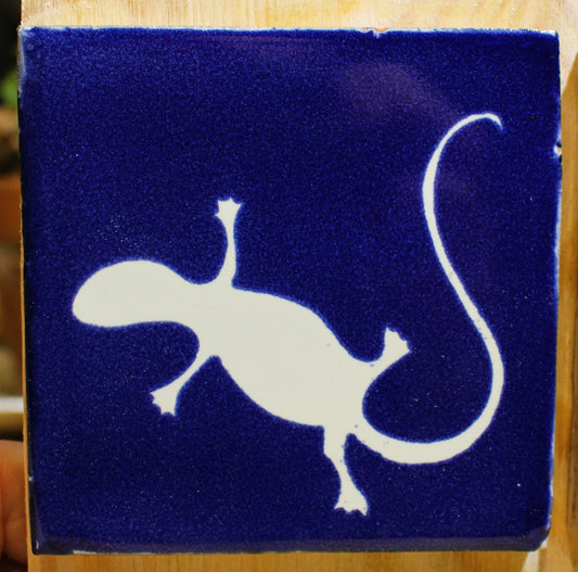 Gecko